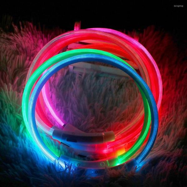 Collares para perros Recargable USB LED Collar para mascotas Luz nocturna Suministros anti-perdidos 1 pieza para perros y gatos Accesorios