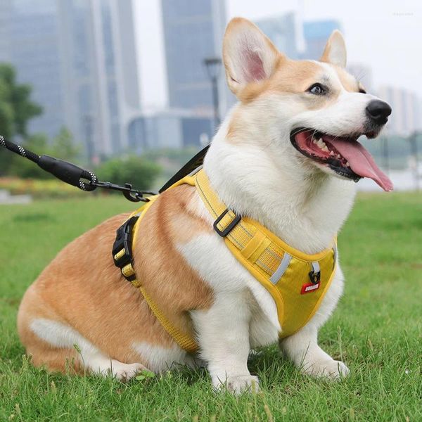 Colliers pour chiens, sangle de poitrine réfléchissante avec corde de laisse, laisses respirantes durables, accessoires pour chiens