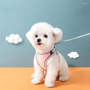 Collares para perros, conjunto de arnés y correa reflectante, chaleco de huida de liberación rápida, Collar básico para viajes al aire libre, gatos, cachorros, mascotas pequeñas