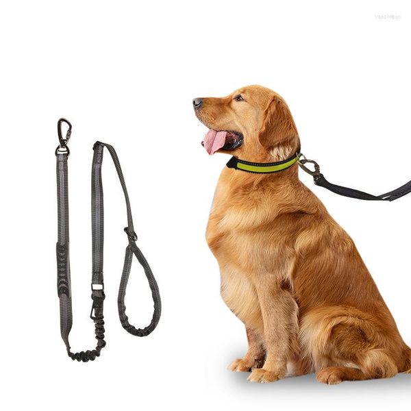 Collares para perros Correa reflectante 135-150cm Plomo ajustable para mascotas Coche Productos para exteriores Suministros Suministros de cuerda duradera