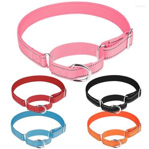 Collares para perros Collar de martingala reflectante Neopreno suave acolchado Entrenamiento resistente para mascotas Deslizamiento limitado para perros pequeños, medianos y grandes