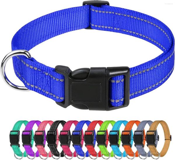 Colliers pour chiens collier classique réglable en nylon réfléchissant avec boucle à dégagement rapide pour chiens de taille moyenne bleu royal 2,5 cm