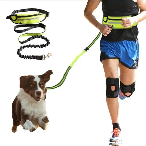 Colliers pour chiens, laisse réfléchissante pour animaux de compagnie, élastique, main libre, corde de Traction pour Jogging, sac de taille, ceintures à boucle rétractable, anneau en D