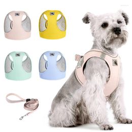 Colliers de chien Réflexion Puppy Cat Vest des harnais et laisse Set pour les petits chiens moyens SCHNAUZER