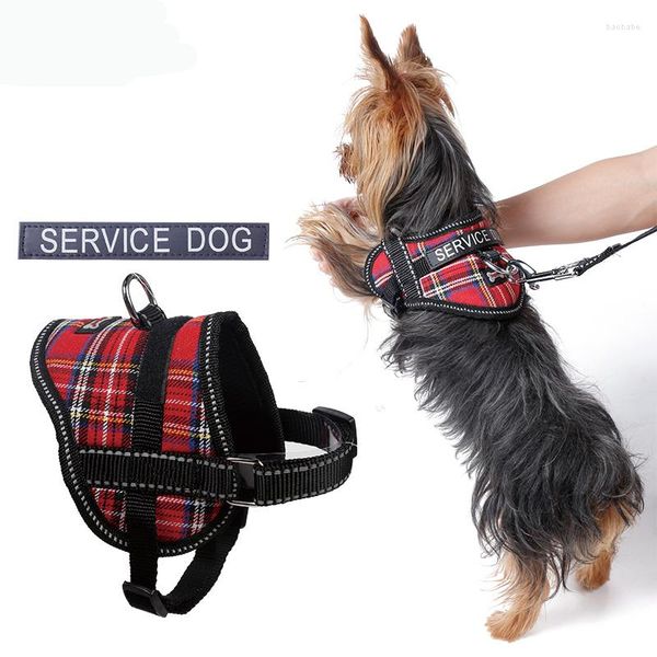 Collares de perros Arnés de servicio de cachorros reflectantes con cuello de mascota de eslogan chihuahua taza de té cuidados s m l
