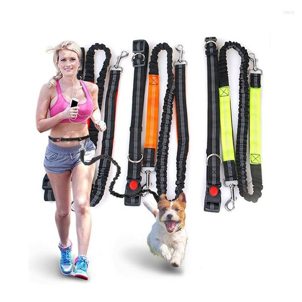 Colliers pour chiens Laisse de course réfléchissante pour les chiens Poignées rembourrées Mains libres Taille réglable Portant une ceinture de plomb de jogging Sangle de poitrine