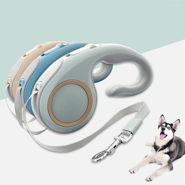 Collares de perros Correo retráctil automático para nylon nylon mascota que caminan con cables que extienden las cuerdas de la cabeza accesorios para mascotas
