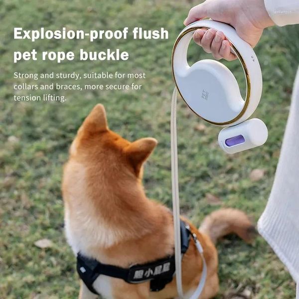 Collares de perros Anillo de correa retráctil con 3 m Traction de tracción para caminar Noche de respiración luminosa Accesorios de luz de respiración
