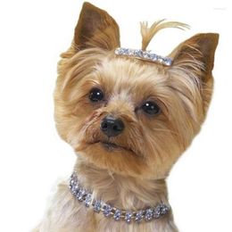 Colliers pour chiens, harnais en strass, petit collier, bandes élastiques scintillantes en cristal, accessoires pour animaux de compagnie et chats