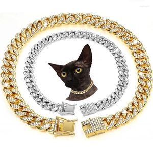 Halsbanden Strass Kittenhalsband Metalen ketting voor alle rassen Honden Katten Cubaanse schakelketting Hip Hop Gouden Puppy Huisdier