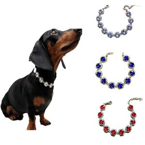 Colliers pour chiens strass accessoires pour animaux de compagnie chat bijoux chiot collier chaîne de cou réglable pour petits chiens Yorkie harnais collier