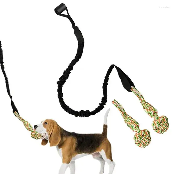 Collares para perros, juguete de cuerda, juguetes para la dentición, resistentes a mordeduras, interactivos, para jugar en interiores, acampar al aire libre