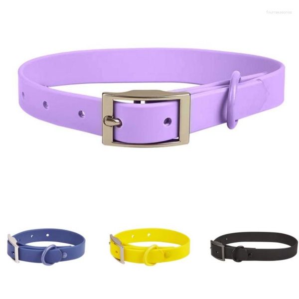 Colliers pour chiens en caoutchouc macaron collier violet sangle de poitrine réglable corde grand imperméable coloré toute taille
