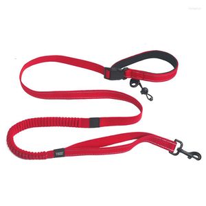 Colliers pour chiens en cours d'exécution Hyena Rope ForTraining Nylon élastique anti-déflagrant Laisse pour animaux de compagnie à haute résistance Mode Fournitures de chaîne durables