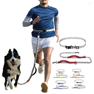 Colliers de chien coulant la laisse haut élastique Big Hands Free Free Two Handle Control Dual rembourré avec des laisses réfléchissantes à la taille