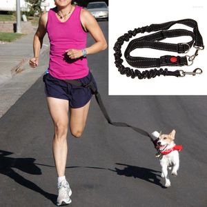 Colliers pour chiens, ceinture de Traction réglable, laisse en Nylon élastique réglable, accessoires d'entraînement en plein air pour animaux de compagnie, mains libres, pratique, marche Durable