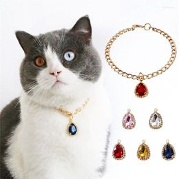 Hondenkragen S-l Chique kristallen hanger Pet Collar Fashion Holiday Feest voor huisdieren Gold Color Chain Cats Puppy Dogs Accessoires