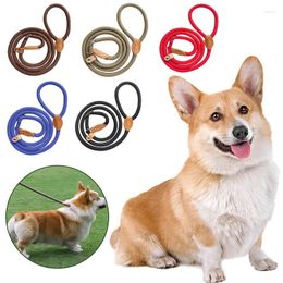 Collari per cani Guinzaglio di sicurezza per animali domestici Nylon resistente per cani di taglia media Guinzagli da addestramento walkig all'aperto quotidiano Accessori Para Perros