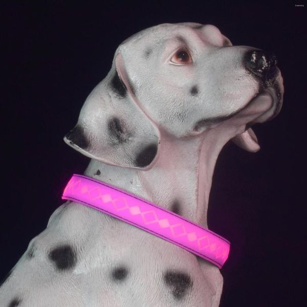 Collares para perros Venta de mascotas Últimos productos Collar iluminado Led 8 Cambio de color 15 Modelo Flash a prueba de lluvia