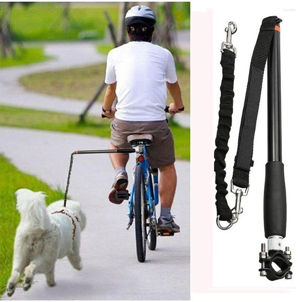 Colliers pour chiens Siberian Husky Outdoor Pet Leash Bike Exercise HandsFree For Walk Run Product