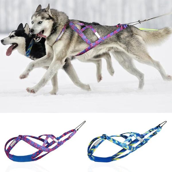 Colliers de chien Strap de poitrine Husky Skis Alaska Skis Reflective Skateboard Corde