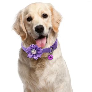 Hondenkragen kleine kat kraag bloemen bell pet nek riem verstelbare eenvoudige slijtage gesp geworden mooie ketting accessoires honden