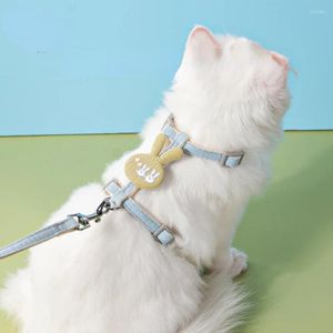 Colliers pour chiens petit collier personnalisé chat chaton réglable vente harnais cloches de protection mignon Anti-perte Collier Chien fournitures pour animaux de compagnie