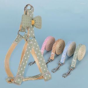 Colliers pour chiens Petit Harnais Laisse Chat En Plein Air Marche Laisse Dot Arc Réglable Sangle De Poitrine Pour Animaux De Compagnie Chiot Accessoire