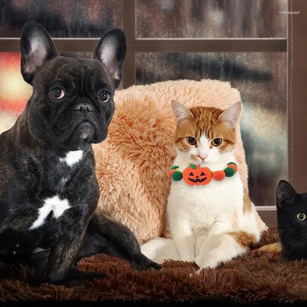 Collares para perros Collar de gato suave Taza de té de calabaza Cachorro de Halloween Collar lindo para gatos caniche