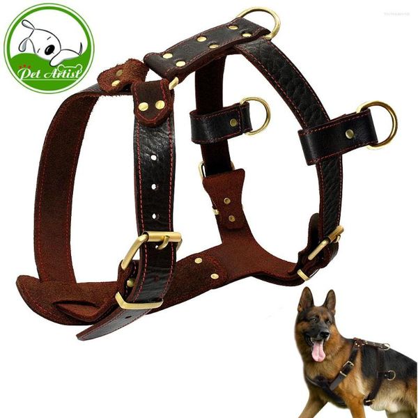 Colliers pour chiens en cuir véritable souple, harnais pour chiens de taille moyenne et grande, gilet Durable, bretelles réglables, poitrine 23-34.5 pouces, marron, animal de compagnie