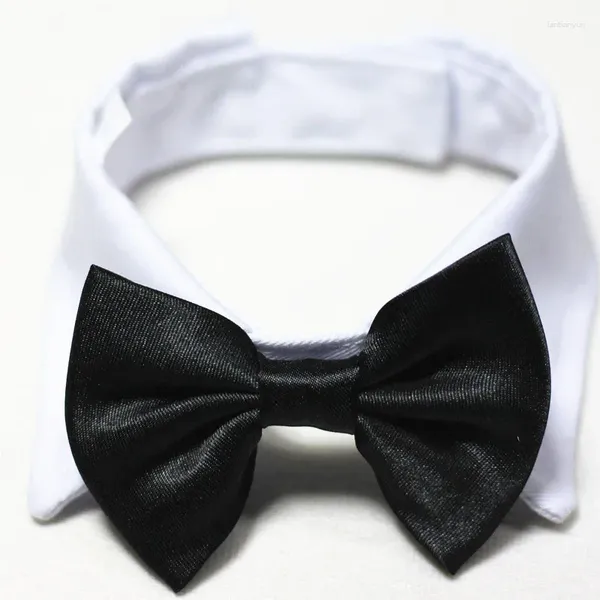 Collares de perros Bowtie sólido para mascota Collar de pajarita de gato Trajes de traje formal de boda ajustable