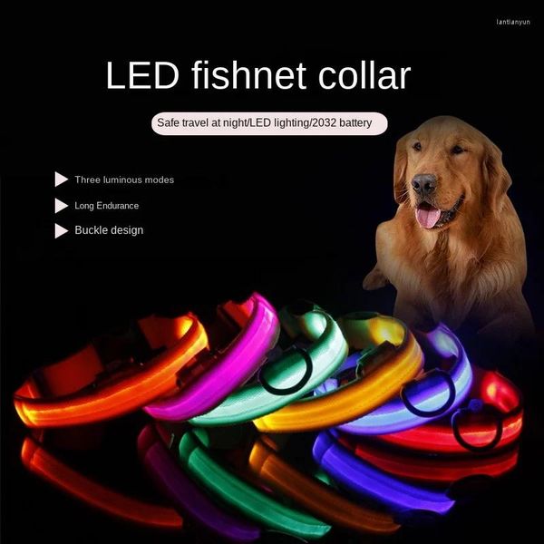 Collares de perros nylon led Light Collar 3 Modelos brillantes para caminar por la noche