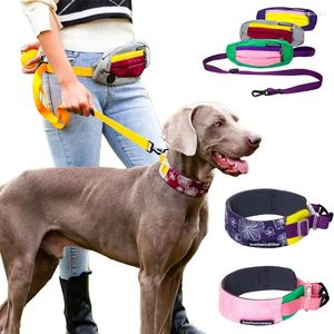 Collares para perros Cinturón deportivo Conjunto de correa Entrenamiento para mascotas Suministros al aire libre Bolsa de cintura portátil con collar para mediano grande