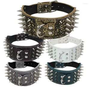 Collares de perros Spot Domineering Spiked Nail Pu Anning Cuatro hileras de uñas Suministros anti-mordidos PETA MÁS