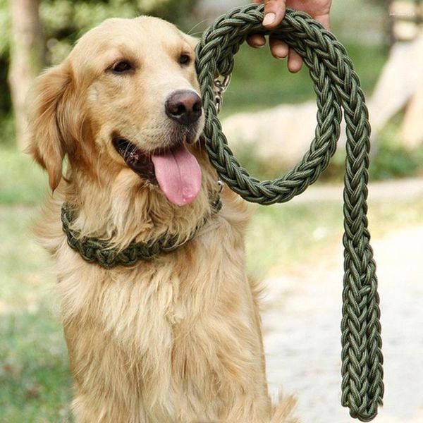 Collares para perros Correas fuertes Cinturón de tracción estereotipado de alta calidad Correa grande Cuerda para mascotas Collar de tejer Plomo
