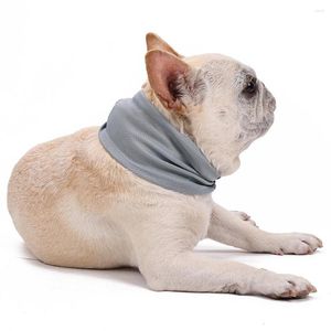 Colliers pour chiens été collier de glace en plein air confortable respirant écharpe pour animaux de compagnie refroidissement Bandana fournitures pour chiens chats