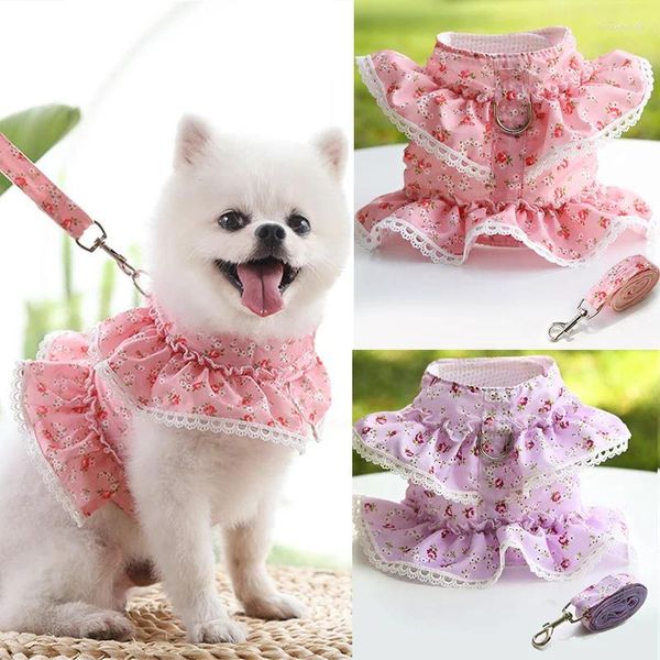 Collares para perros, chaleco de verano, conjunto de arnés para mascotas de malla transpirable, ropa, correa, vestido de Estilo Princesa, faldas cortas para suministros para Chihuahua