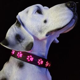 Forniture per collari per cani Guinzaglio e prodotti per accessori per animali domestici -7 colori in 1