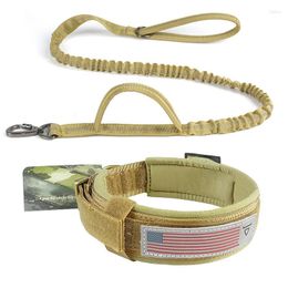 Halsbanden Tactische halsband en riemset met handvat Bungee verstelbaar militair training nylon handvat