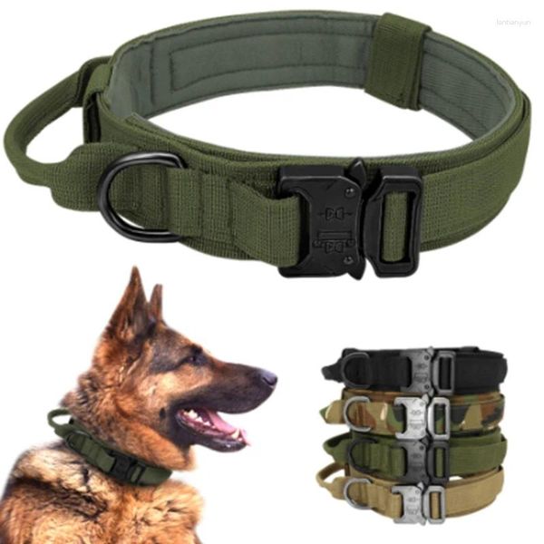 Colliers de chien chiens tactiques collier militaire réglable duarable nylon allemand Shepard pour les animaux de compagnie de marche à pied moyen