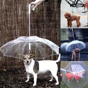 Colliers pour chiens, caniche en peluche, petits chiens, parapluies de tête, marche, voyage, Poncho imperméable, produits pour animaux de compagnie