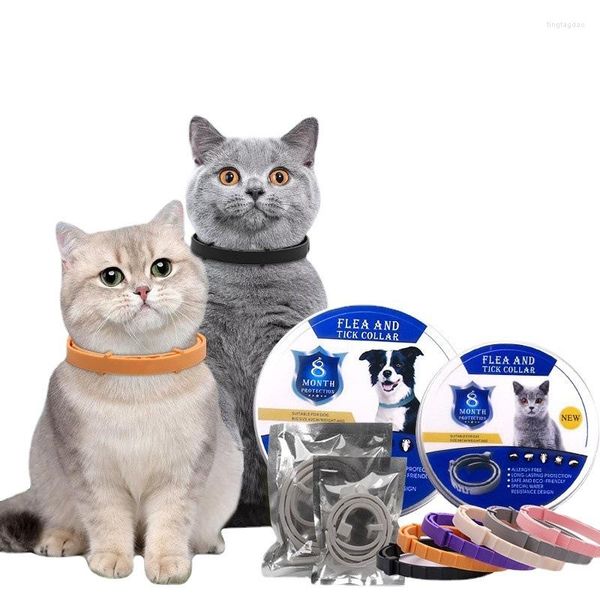 Colliers pour chiens Les accessoires pour animaux de compagnie Collier pour chat Vermifuge Poux Acariens Puces Four Seasons