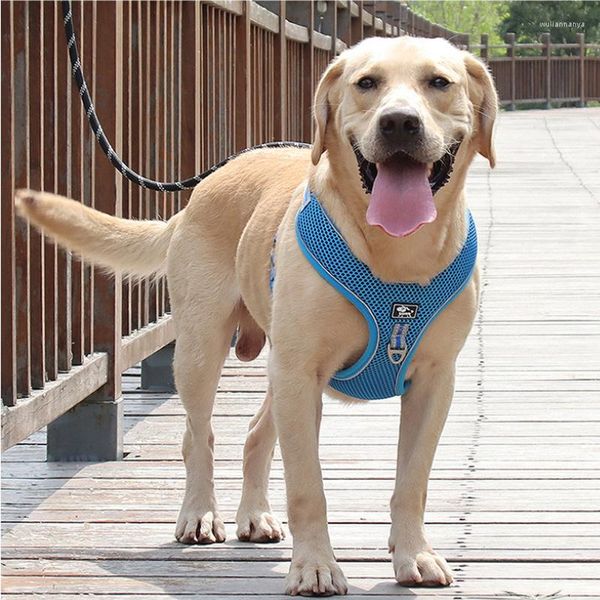 Collares para perros El conjunto de arnés y correa para mascotas Arneses de chaleco reflectante para suministros de Golden Retriever grandes