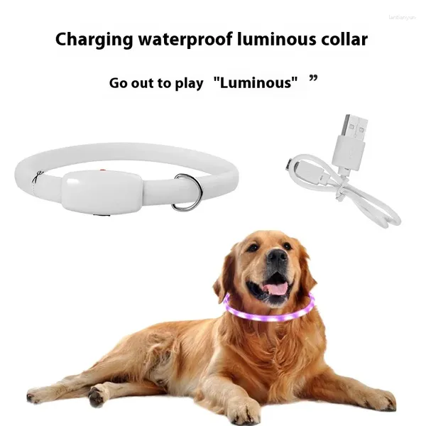 Colliers de chien Le collier de animal de compagnie rechargeable à LED à LED est auto-réglable avec un câble USB et une variété de flashs