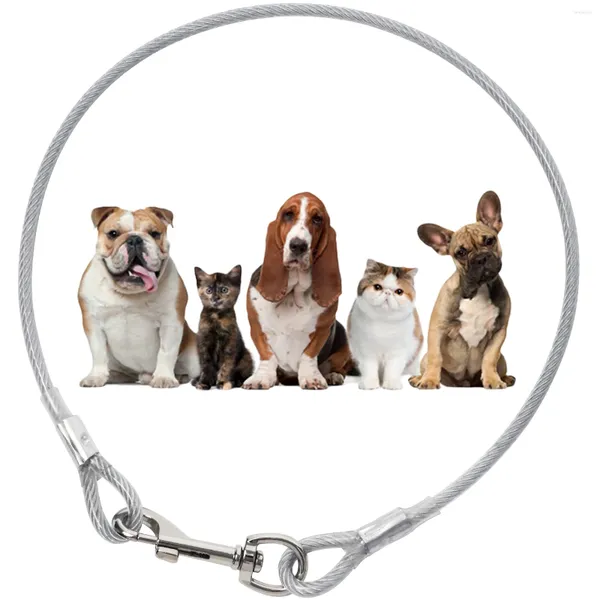 Les colliers pour chiens attachent le câble avec PVC en revêtement en acier inoxydable corde traction crochet Lance en argent pour le remplacement des gros chiens
