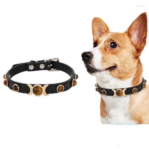 Colliers pour chiens Oeil de tigre Alliage Tête de bouton Chaîne en cuir PU Moyenne et petite Collier pour animal de compagnie Marcher à l'extérieur Fournitures