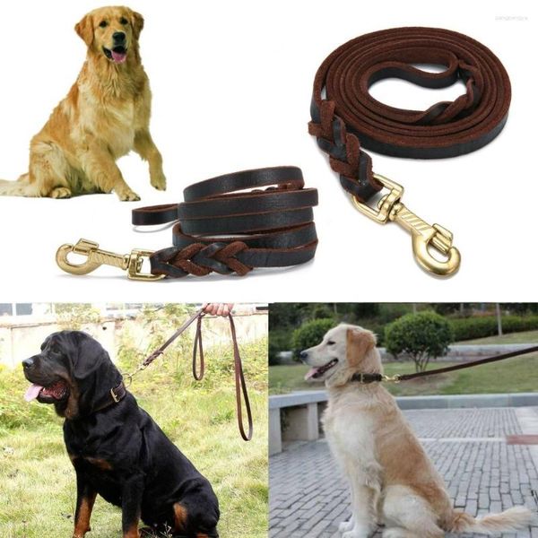 Collares para perros Correa de grado militar de cuero tejido a mano de alta calidad Entrenamiento profesional de una pieza para perros medianos y grandes