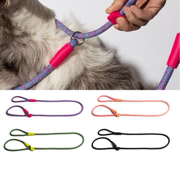 Colliers pour chiens Laisse de traction résistante Chaîne P Labrador Doberman Shiba Conduit Accessoires de marche Fournitures Formation