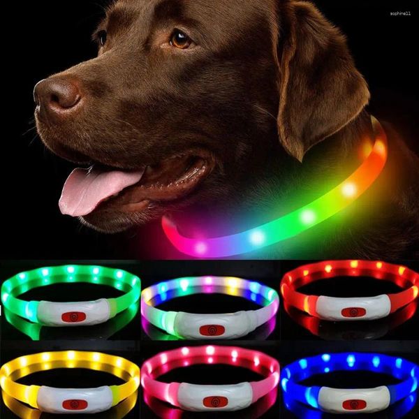 Colliers pour chiens, fournitures pour animaux de compagnie, Anti-perte, cravate pour chiot, accessoires de sécurité, collier lumineux, sangle Noctilucent, Rechargeable par Usb