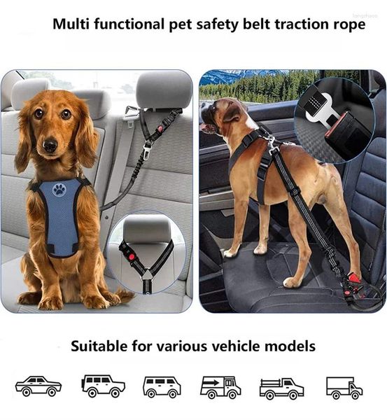 Colliers de chien deux en un ceinture de sécurité pour animaux de compagnie pour les accessoires de voitures de chat
